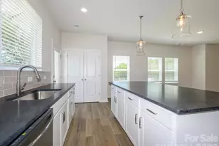 1120 Bismuth Ln, Charlotte, NC 28211 - Photo 11