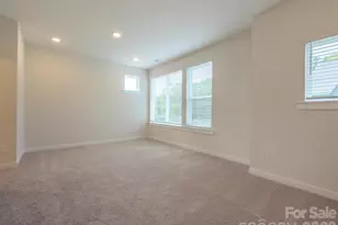 1120 Bismuth Ln, Charlotte, NC 28211 - Photo 23