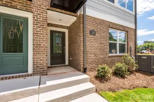 1120 Bismuth Ln, Charlotte, NC 28211 - Photo 3