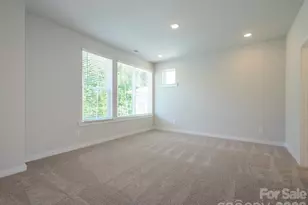 1104 Bismuth Ln, Charlotte, NC 28211 - Photo 23