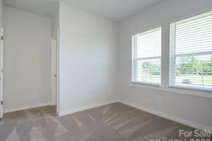 1104 Bismuth Ln, Charlotte, NC 28211 - Photo 21