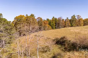 318 Monticello Rd, Weaverville, NC 28787 - Photo 11