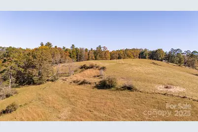 318 Monticello Road, Weaverville, NC 28787 - Photo 15