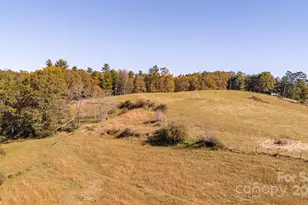 318 Monticello Rd, Weaverville, NC 28787 - Photo 15