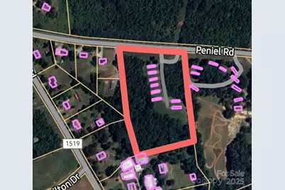 3100 Peniel Road, Tryon, NC 28782 - Photo 3