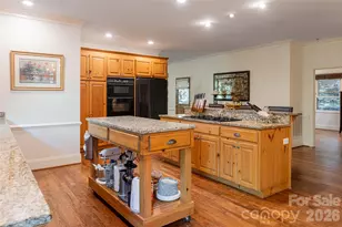 75 Cougar Ln, Saluda, NC 28773 - Photo 19