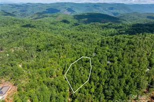 75 Cougar Ln, Saluda, NC 28773 - Photo 41