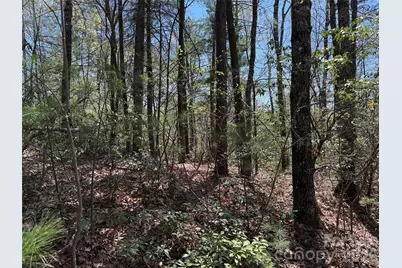 Tbd Casey Mountain Road #213, Purlear, NC 28665 - Photo 11