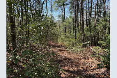 Tbd Casey Mountain Road #213, Purlear, NC 28665 - Photo 5