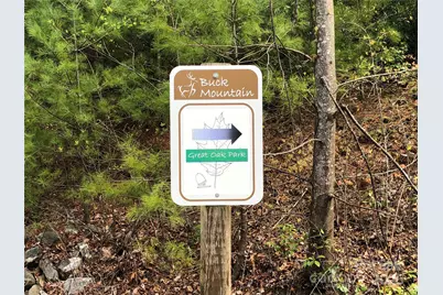 Tbd Casey Mountain Road #213, Purlear, NC 28665 - Photo 23