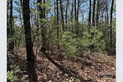 Tbd Casey Mountain Road #213, Purlear, NC 28665 - Photo 9