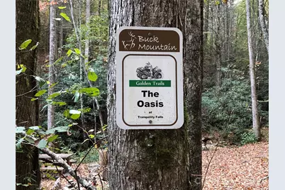 Tbd Casey Mountain Road #213, Purlear, NC 28665 - Photo 27