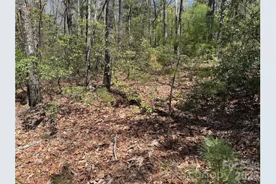 Tbd Casey Mountain Road #213, Purlear, NC 28665 - Photo 15