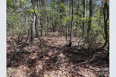 Tbd Casey Mountain Road #213, Purlear, NC 28665 - Photo 9