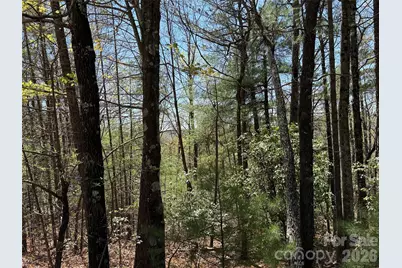 Tbd Casey Mountain Road #213, Purlear, NC 28665 - Photo 13