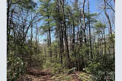 Tbd Casey Mountain Road #213, Purlear, NC 28665 - Photo 7