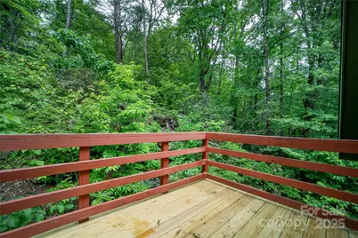 261 Franks Cove Road, Brevard, NC 28712 - Photo 21