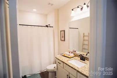 132 Connestee Road, Brevard, NC 28712 - Photo 19