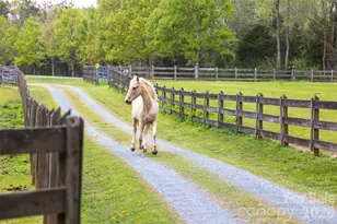 7712 Old Waxhaw Monroe Rd, Waxhaw, NC 28173 - Photo 43