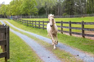 7712 Old Waxhaw Monroe Rd, Waxhaw, NC 28173 - Photo 45