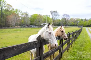 7712 Old Waxhaw Monroe Rd, Waxhaw, NC 28173 - Photo 3