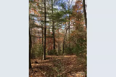 Tbd Lucky Leaf Lane, Vilas, NC 28692 - Photo 13