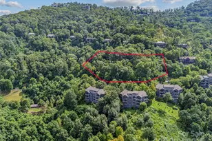 Lot 9 & 10 Andrew Banks Rd, Burnsville, NC 28714 - Photo 7