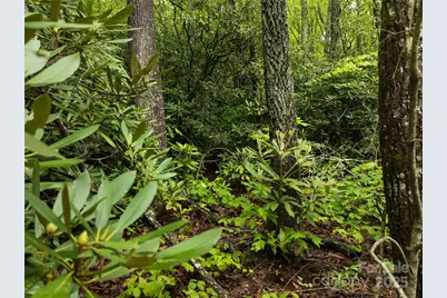 52 Settings Boulevard, Black Mountain, NC 28711 - Photo 7