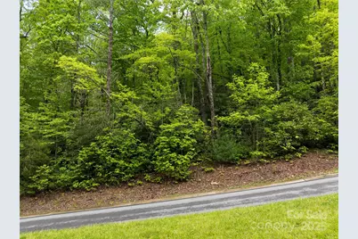 52 Settings Boulevard, Black Mountain, NC 28711 - Photo 5