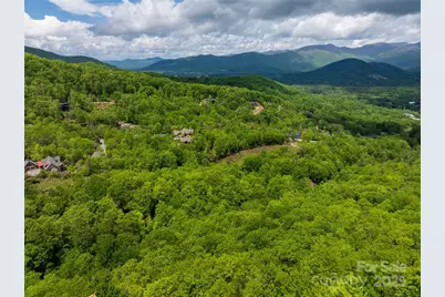 52 Settings Boulevard, Black Mountain, NC 28711 - Photo 9