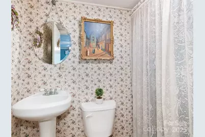 229 Crabtree Mountain Road, Canton, NC 28716 - Photo 9