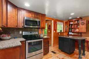 229 Crabtree Mountain Rd, Canton, NC 28716 - Photo 19