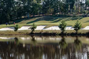 45008 Wigeon Ln, Indian Land, SC 29707 - Photo 35