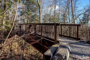 1 E Owl Creek Ln, Fairview, NC 28730 - Photo 37