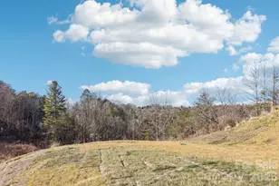 827 Adelston Ln, Asheville, NC 28804 - Photo 41