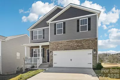 827 Adelston Lane, Asheville, NC 28804 - Photo 3