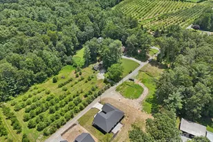 86 Point Hope Ln, Hendersonville, NC 28792 - Photo 35