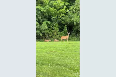 5369 Concord Road, York, SC 29745 - Photo 31