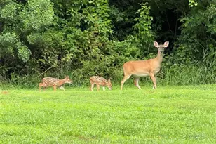 5369 Concord Rd, York, SC 29745 - Photo 31