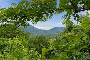 22 Samuel Ashe Dr, Asheville, NC 28805 - Photo 1