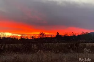 668 Old Hendersonville Hwy, Brevard, NC 28712 - Photo 47