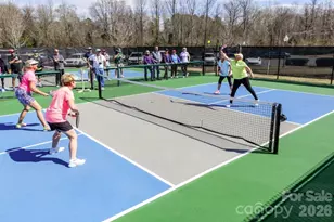 9020 Smokey Hill Ln, Fort Mill, SC 29707 - Photo 43