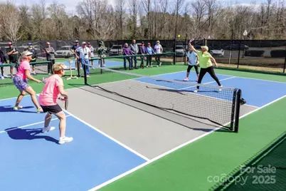 9020 Smokey Hill Lane, Fort Mill, SC 29707 - Photo 43