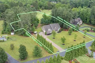 1224 Hooper Creek Rd, Tryon, NC 28782 - Photo 3