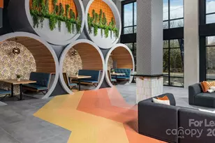 1015 N Alexander St, Charlotte, NC 28206 - Photo 19