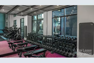 1015 N Alexander Street #A6, Charlotte, NC 28206 - Photo 29