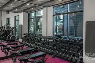 1015 N Alexander St, Charlotte, NC 28206 - Photo 29