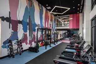 1015 N Alexander St, Charlotte, NC 28206 - Photo 25