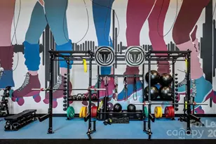 1015 N Alexander St, Charlotte, NC 28206 - Photo 27