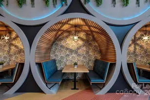 1015 N Alexander St, Charlotte, NC 28206 - Photo 9